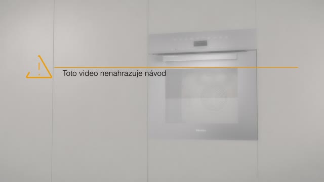 Přehrát video