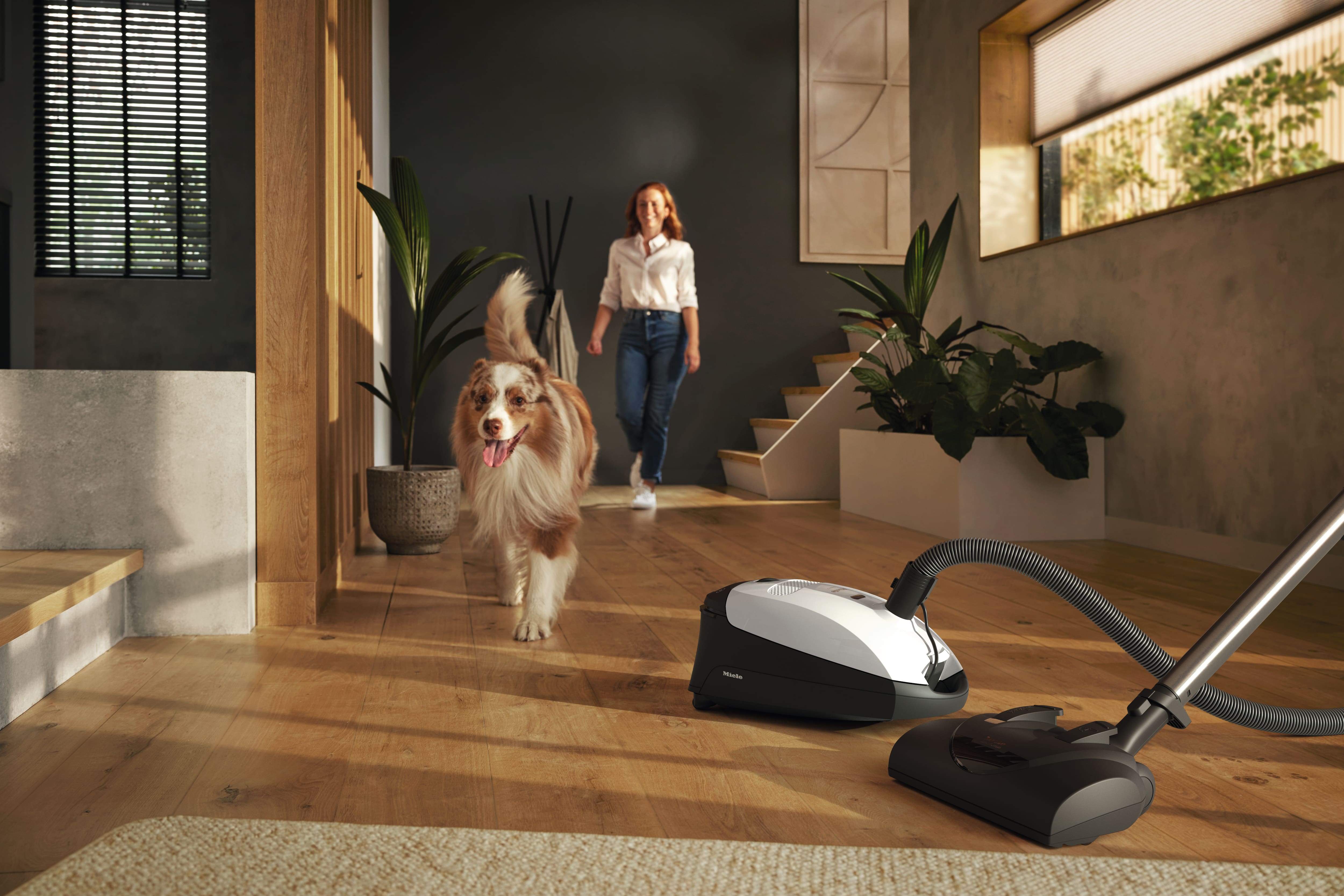 Miele - Classic C1 Cat & Dog PowerLine - SBBN0 Lotus white - 7