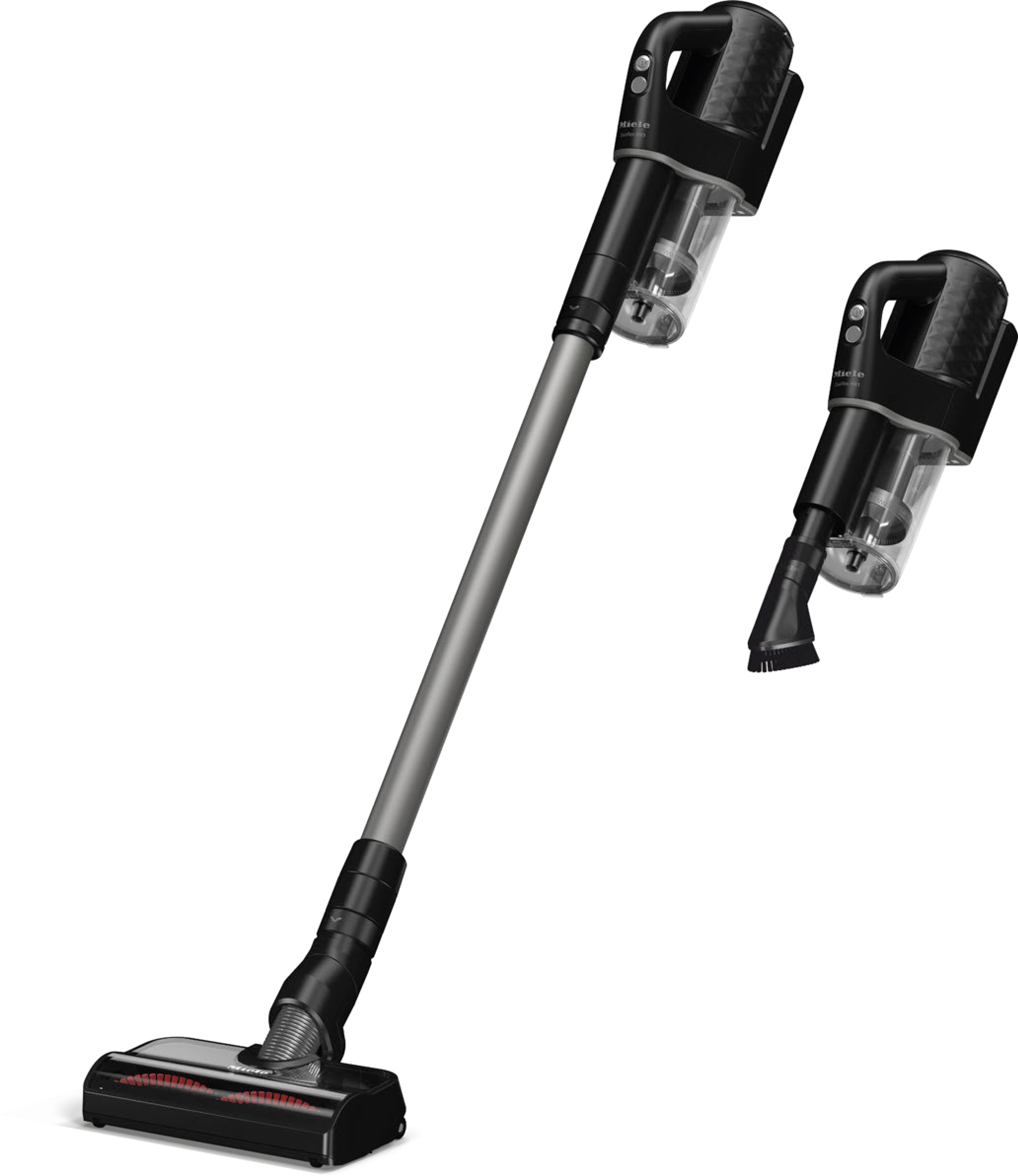 Stofzuigers - Steelstofzuigers - Duoflex HX1 Cat & Dog