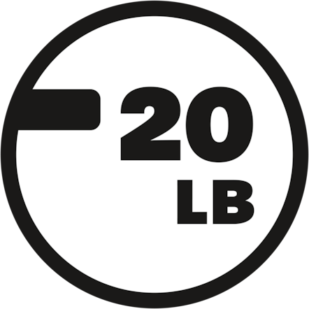 Award icon
