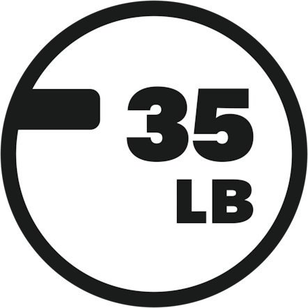 Award icon