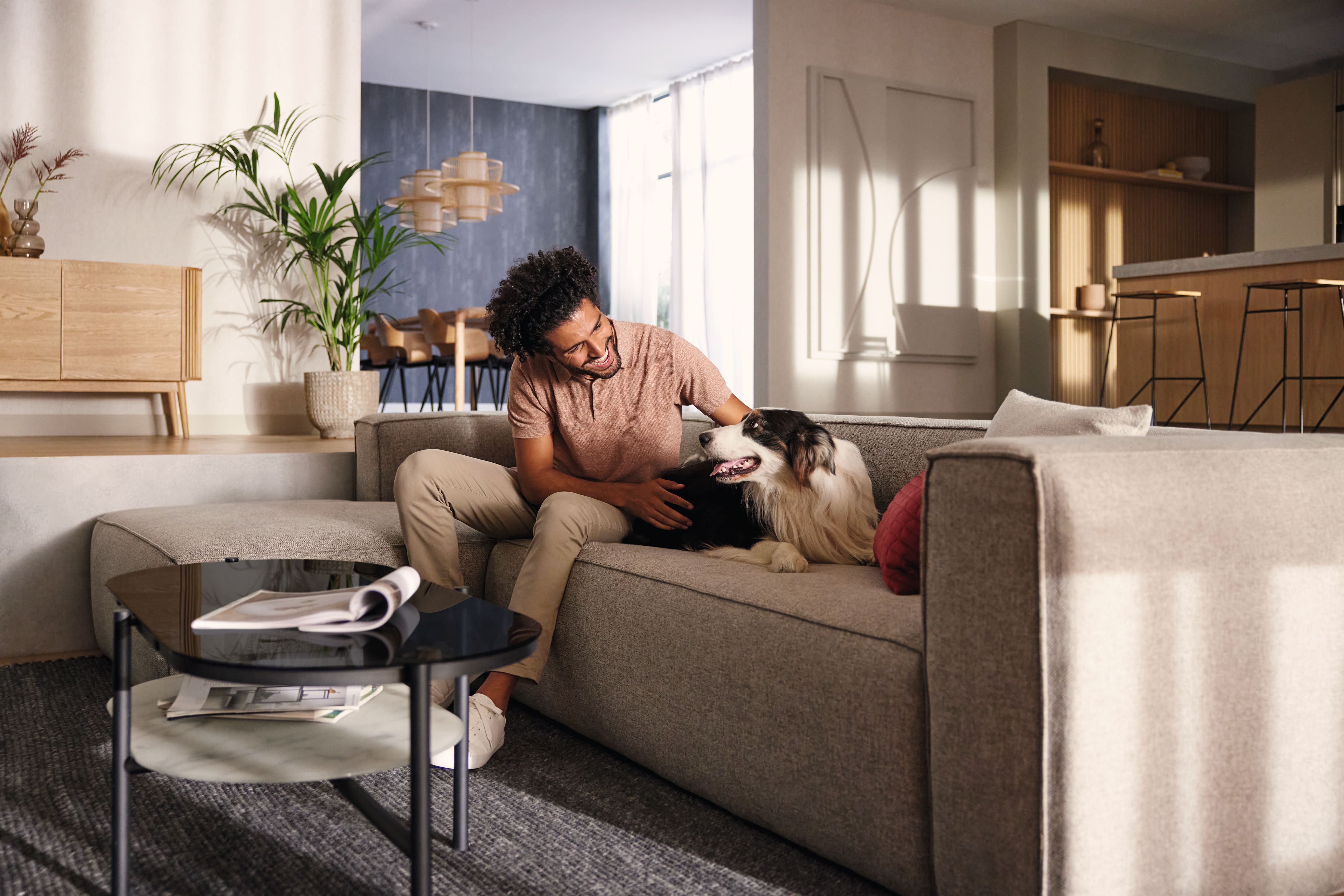 Une scène chaleureuse dans le salon : une personne se détend sur un canapé gris, caressant un Border Collie tout joyeux ; une table basse et la cuisine sont visibles à l'arrière-plan. Une scène chaleureuse dans le salon : une personne se détend sur un canapé gris, caressant un Border Collie tout joyeux ; une table basse et la cuisine sont visibles à l'arrière-plan.
