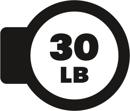 Award icon