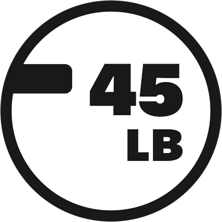 Award icon