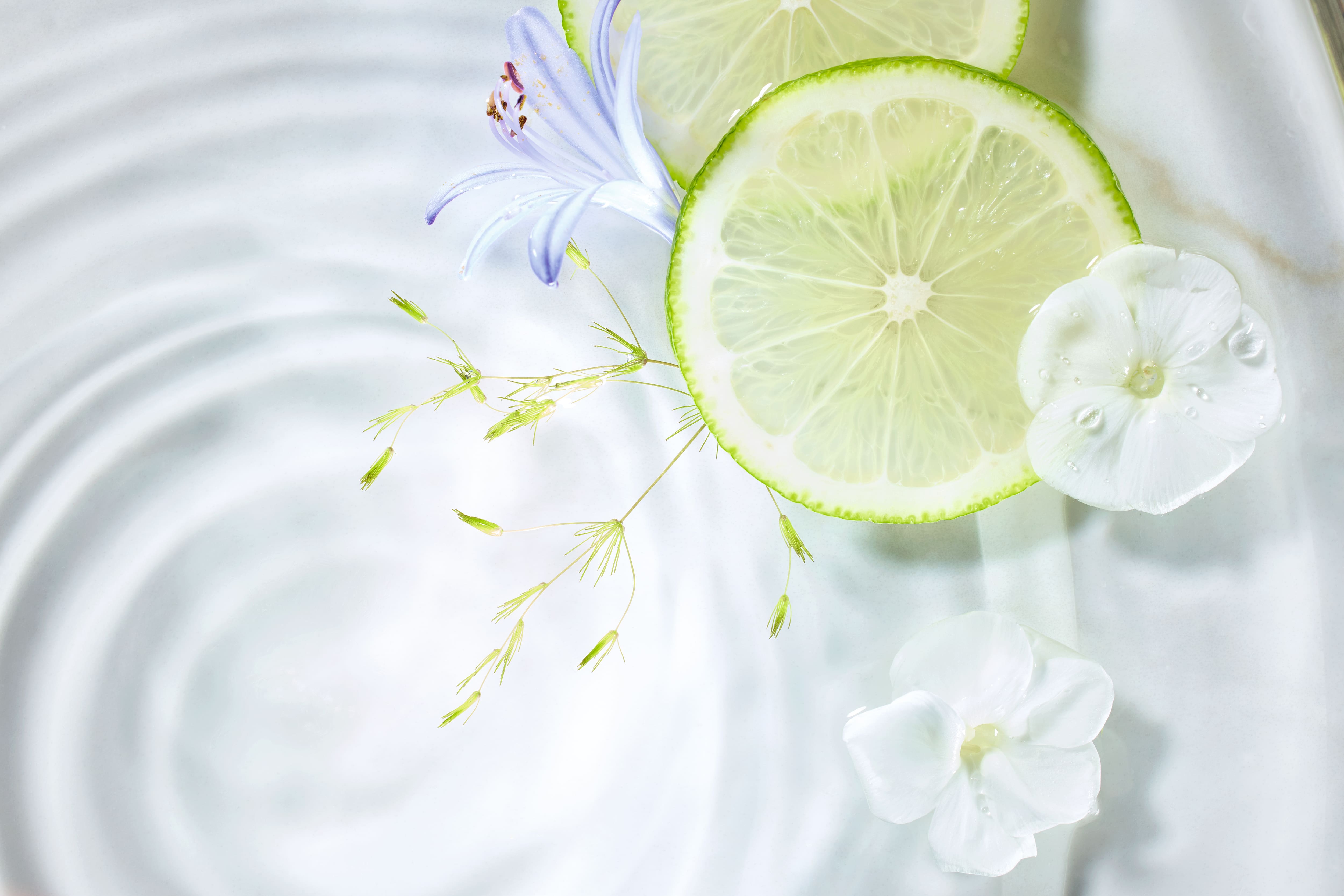 Florale Duftnoten mit Zitrusfrische Florale Duftnoten mit Zitrusfrische
