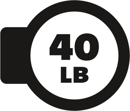 Award icon
