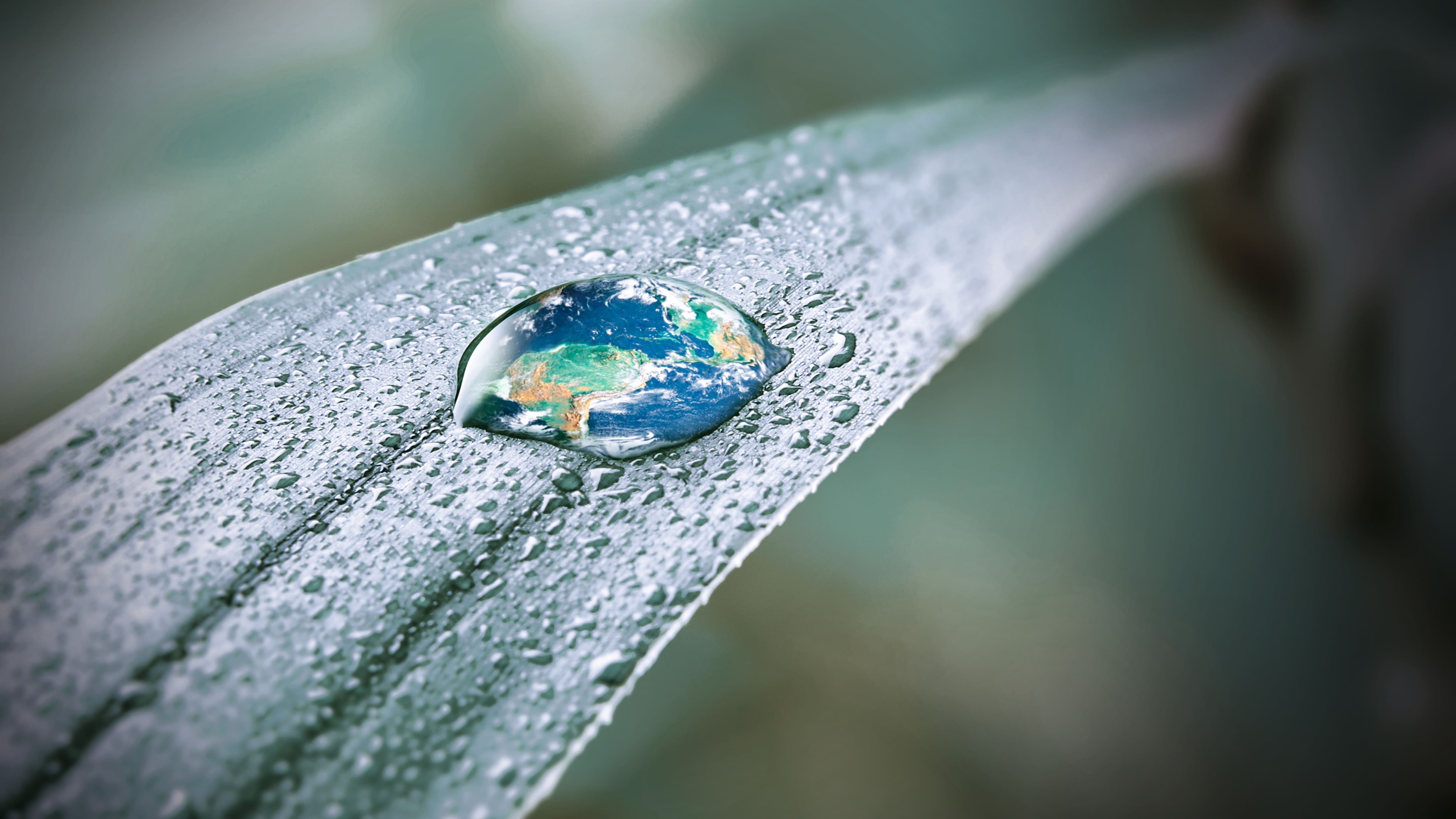 Macro of a dew-covered leaf with a droplet reflecting Earth, symbolizing nature, water, and sustainability. Macro of a dew-covered leaf with a droplet reflecting Earth, symbolizing nature, water, and sustainability.