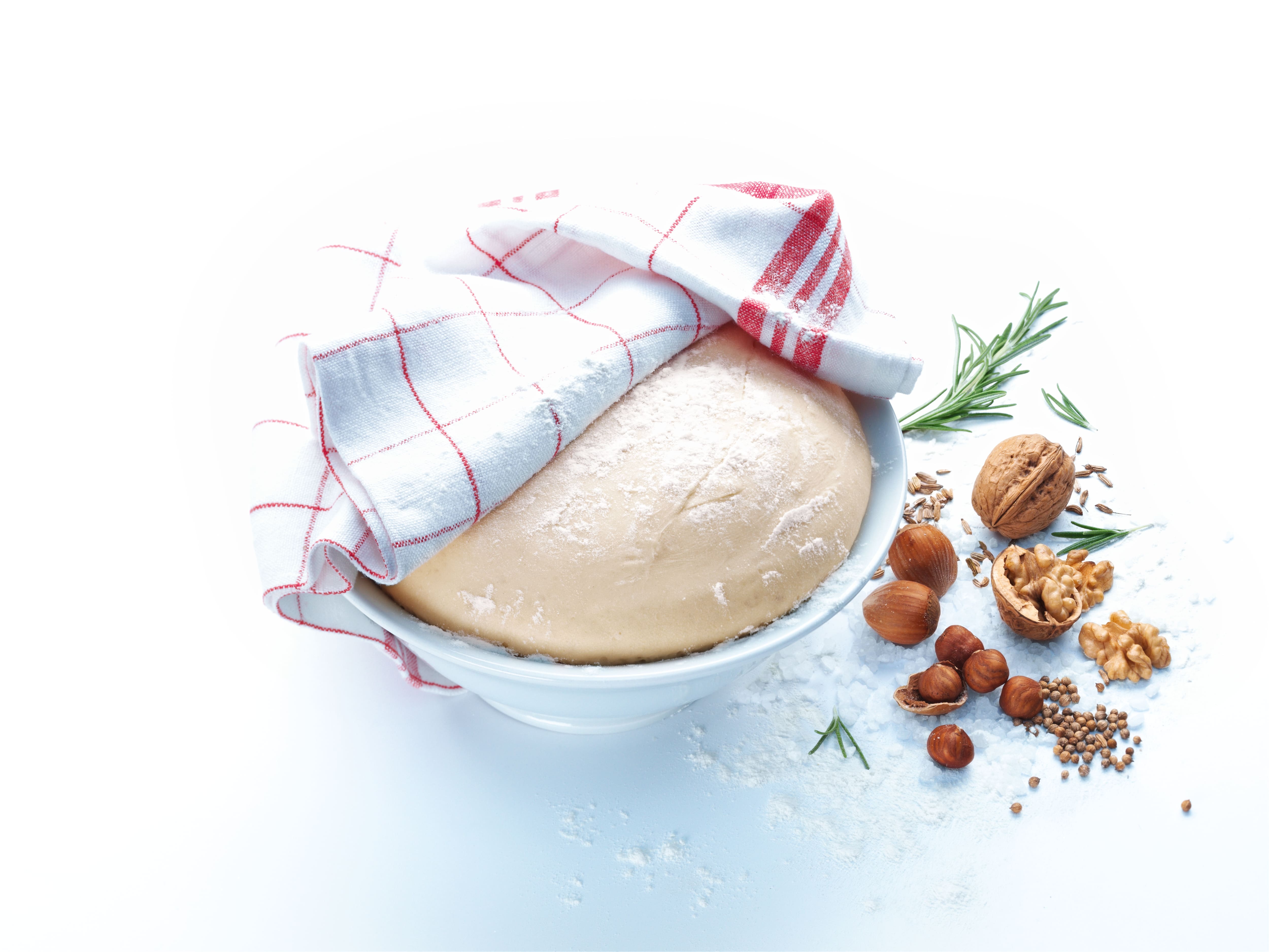 Rising bread dough in a white bowl under a red-checkered cloth, with walnuts, hazelnuts, seeds, salt, and rosemary. Rising bread dough in a white bowl under a red-checkered cloth, with walnuts, hazelnuts, seeds, salt, and rosemary.