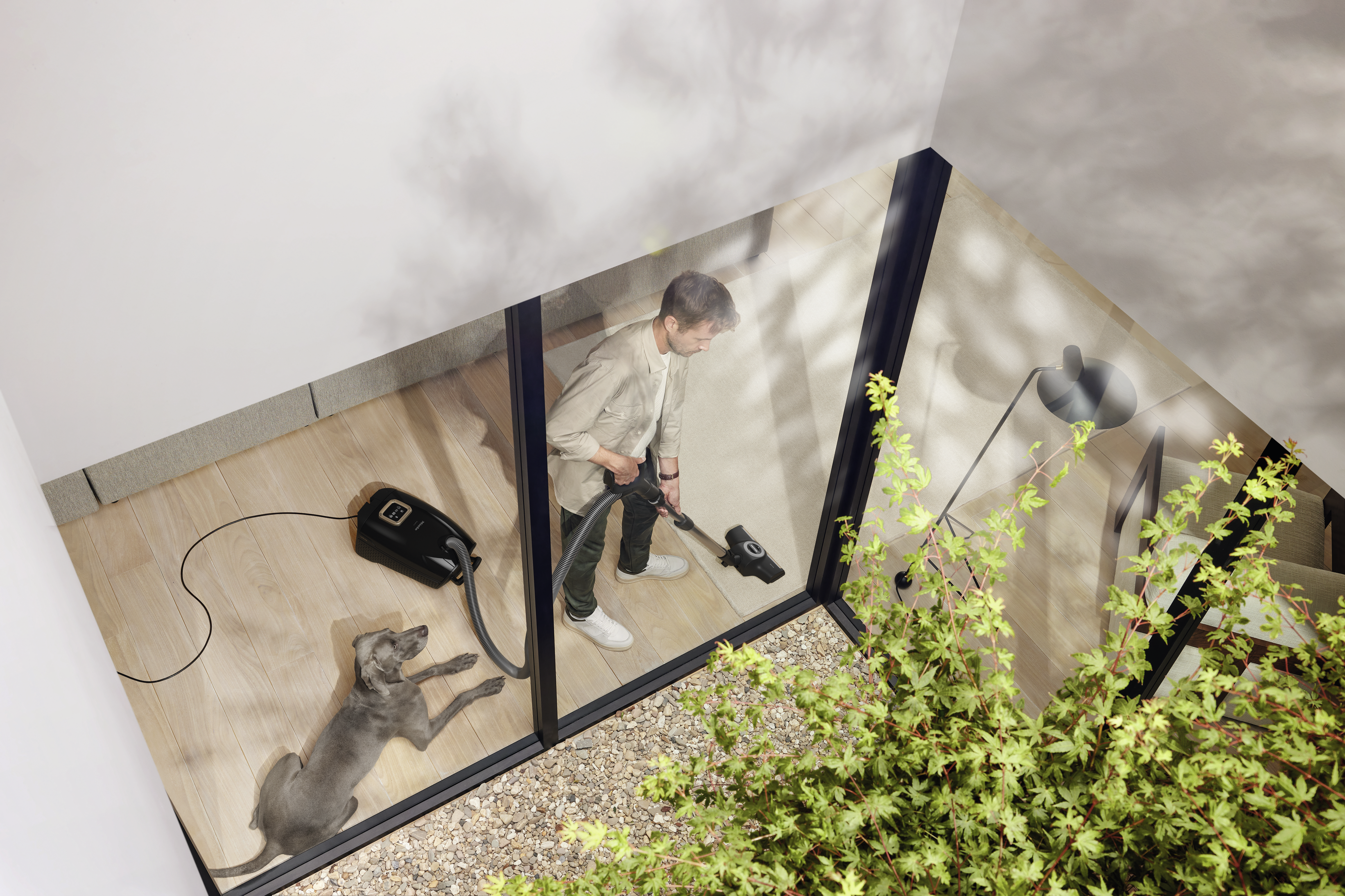 In-situ shot, Factual image