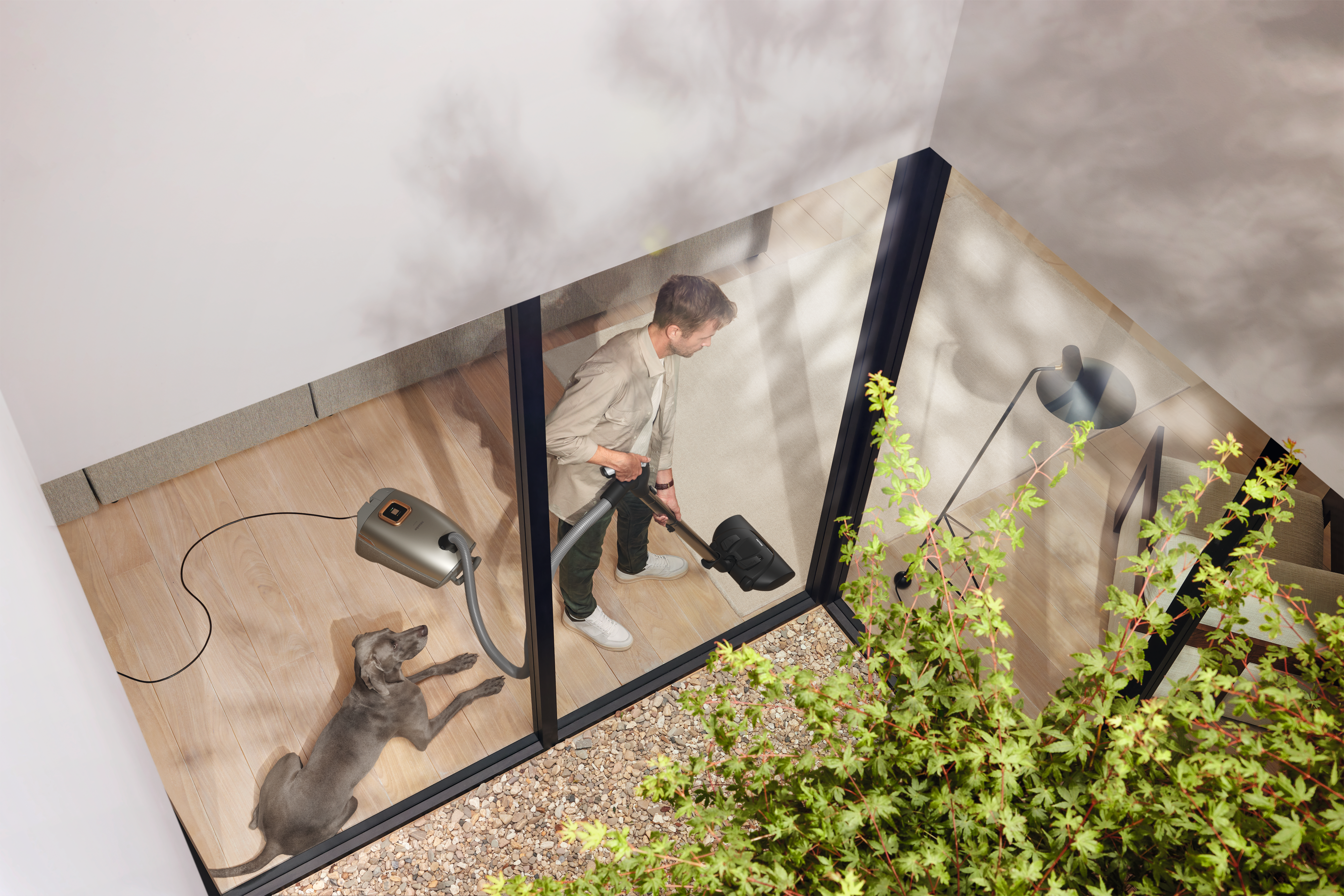 Through a glass wall, a person vacuums a rug with a canister vacuum while a gray dog rests on the wooden floor. Through a glass wall, a person vacuums a rug with a canister vacuum while a gray dog rests on the wooden floor.
