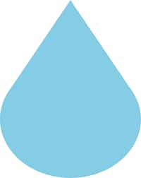 Energy label, Online Label Flag