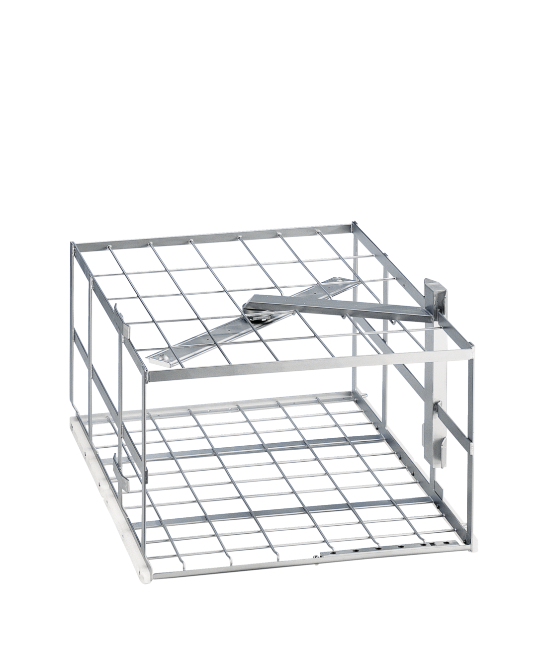 Feitelijke afbeelding
