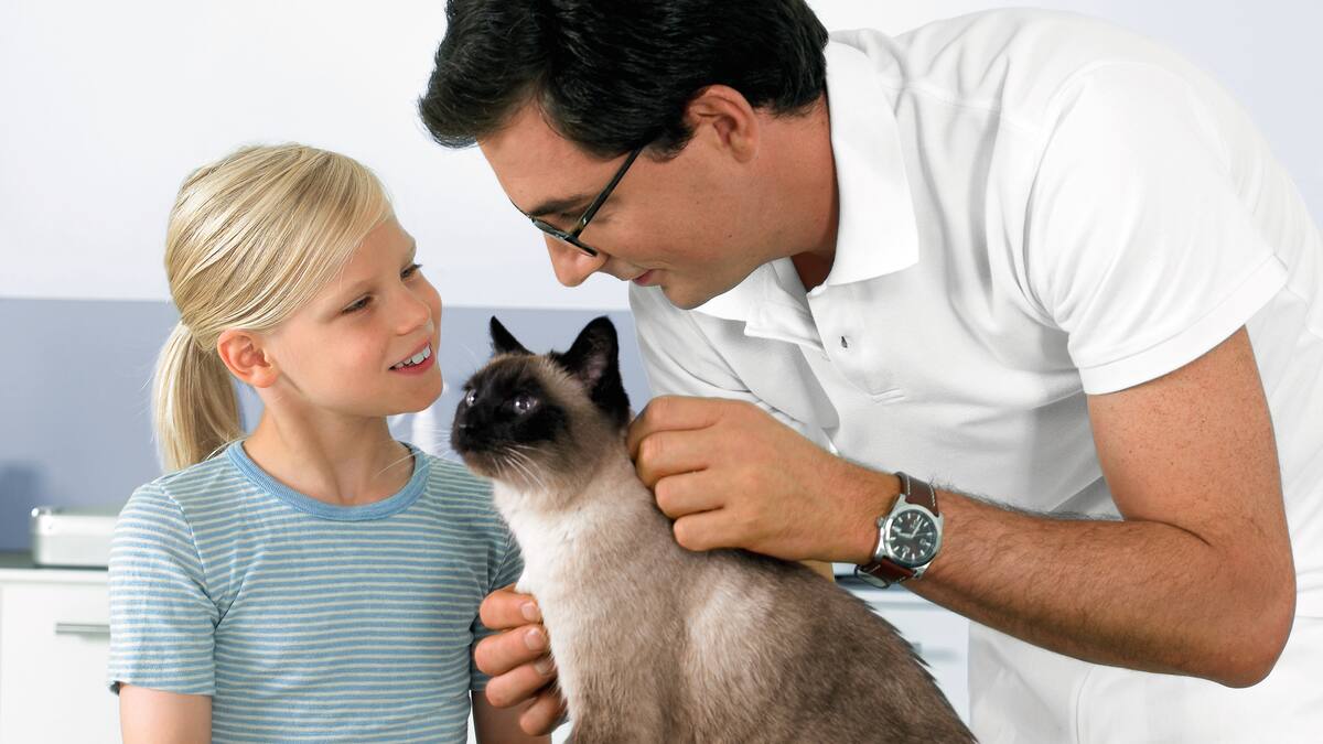 Veterinář vyšetřuje dívčinu kočku.