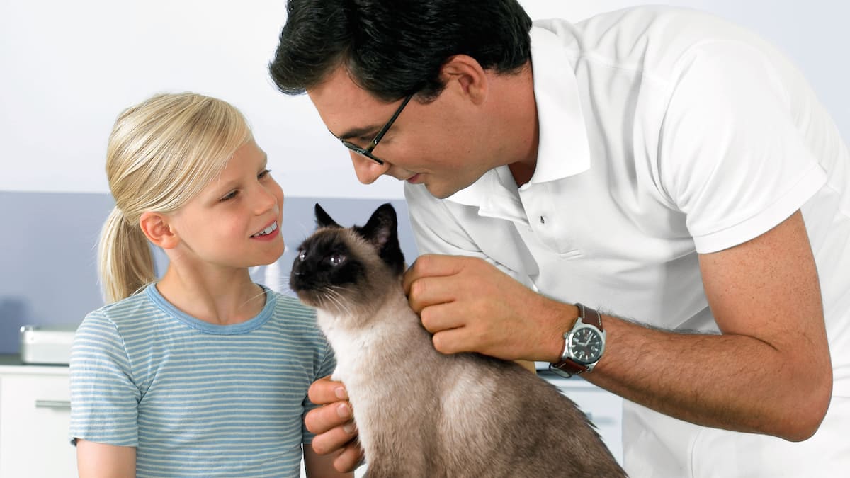Veterinář vyšetřuje dívčinu kočku.