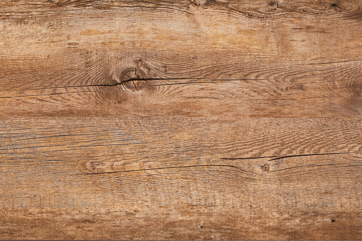 Sachaufnahme, Detailaufnahme