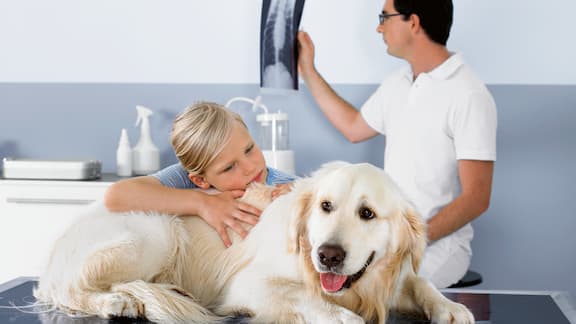 Eläinlääkäri hoitaa lapsen koiraa.