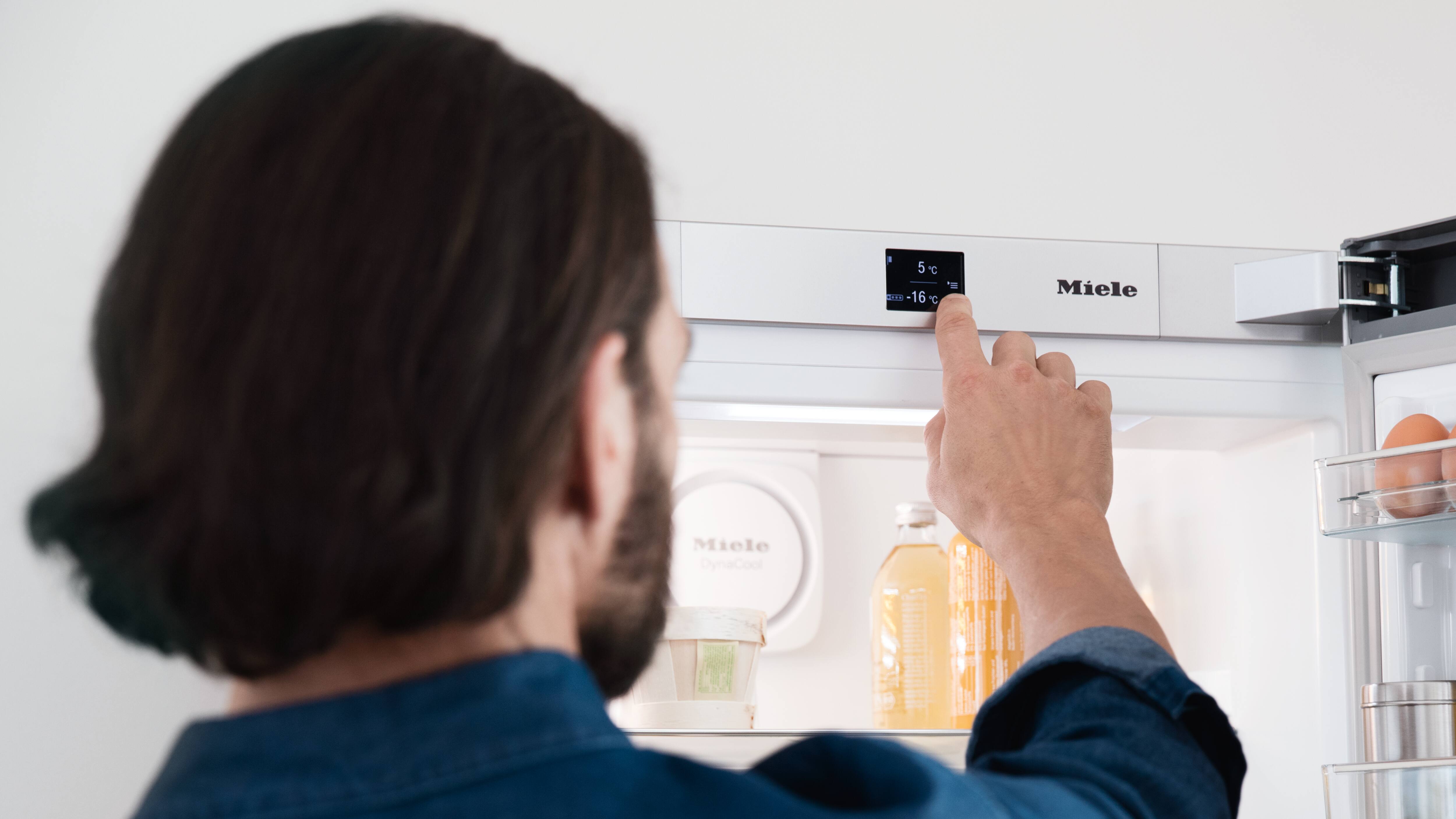 Fridge Freezer Features Freestanding Miele