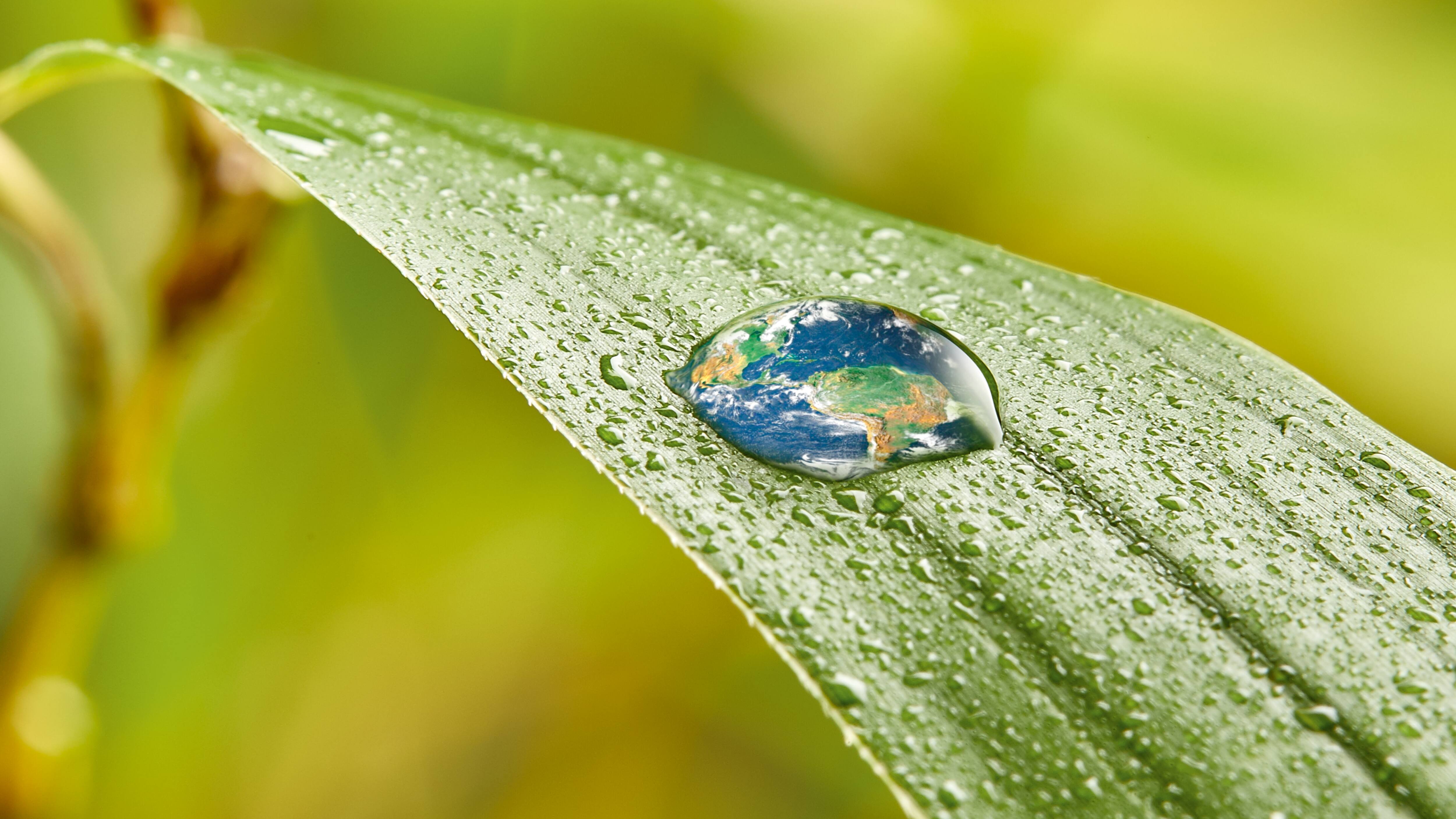 Zbliżenie na zielony liść z kroplami wody, z których jedna przedstawia Ziemię, symbolizując zrównoważony rozwój i wzajemne powiązania w naturze.