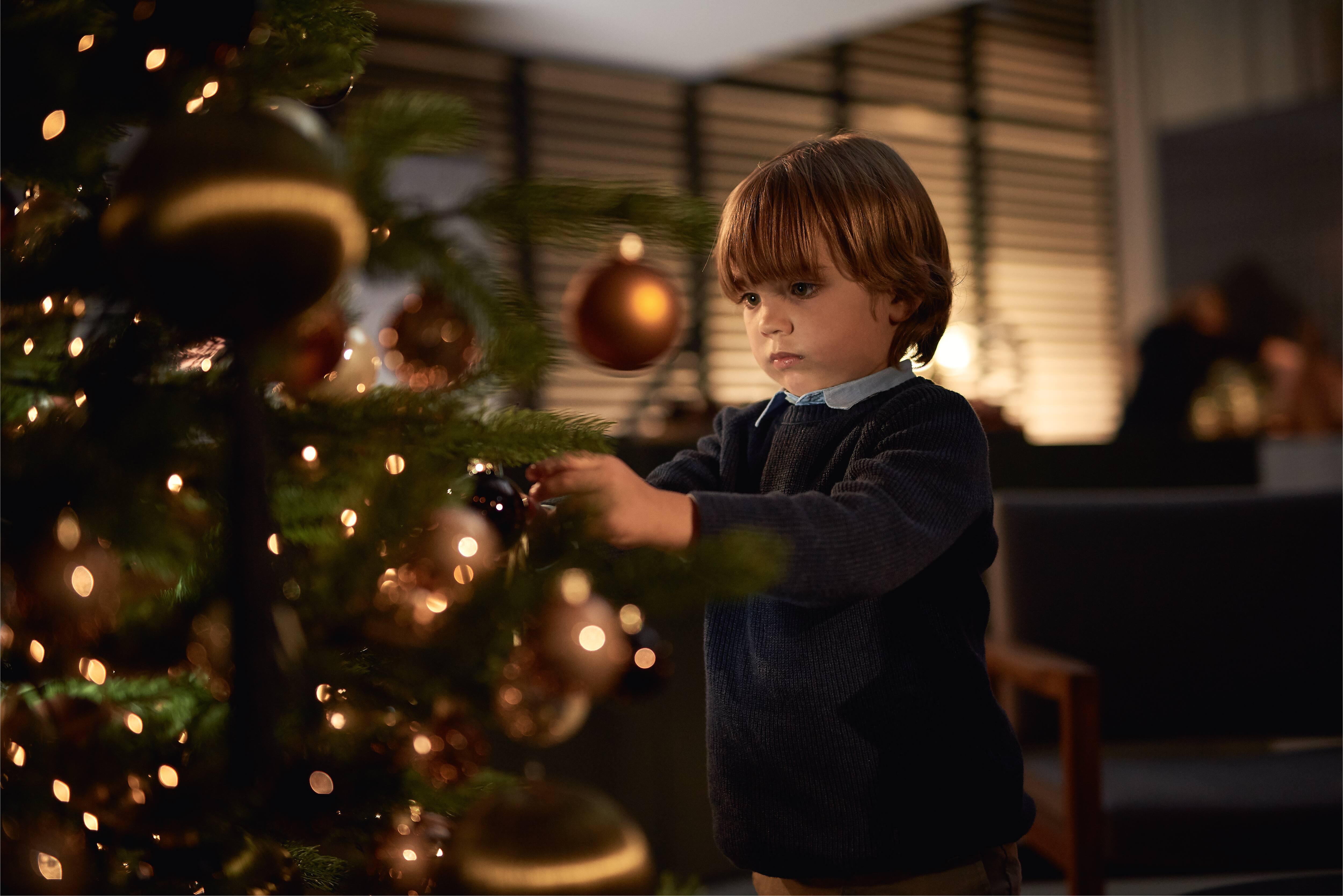 Nos promotions pour Noël Miele