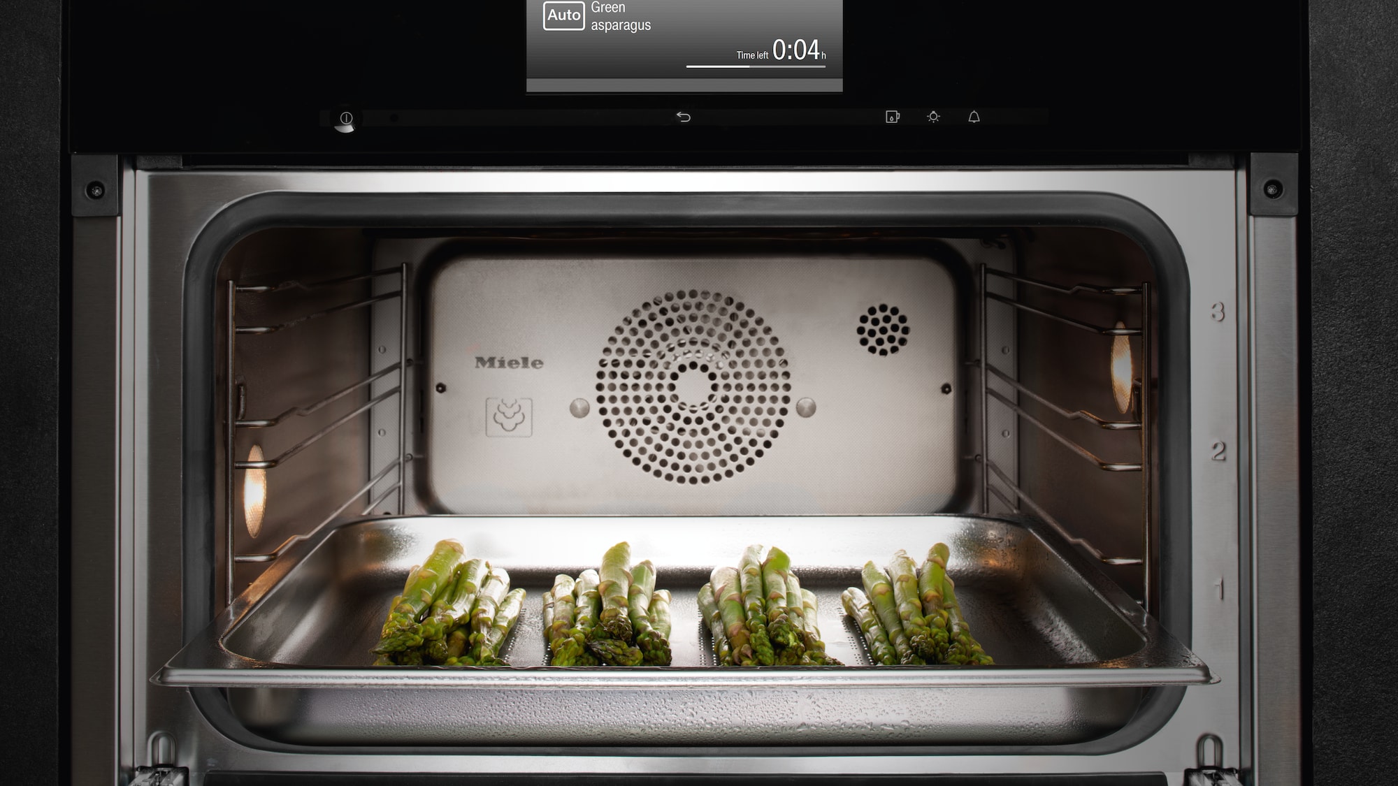 High End Combi-Steam Ovens
