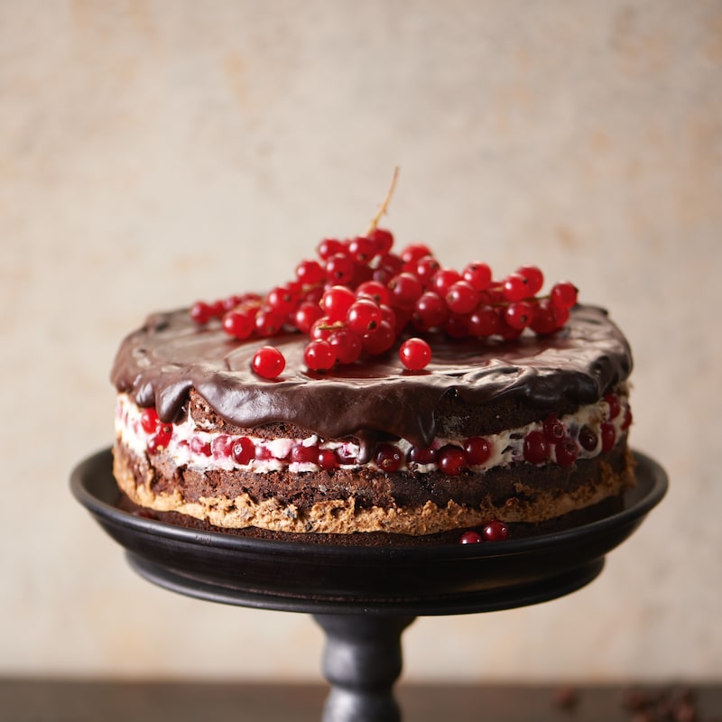 Miele - saftig mokkasjokoladekake