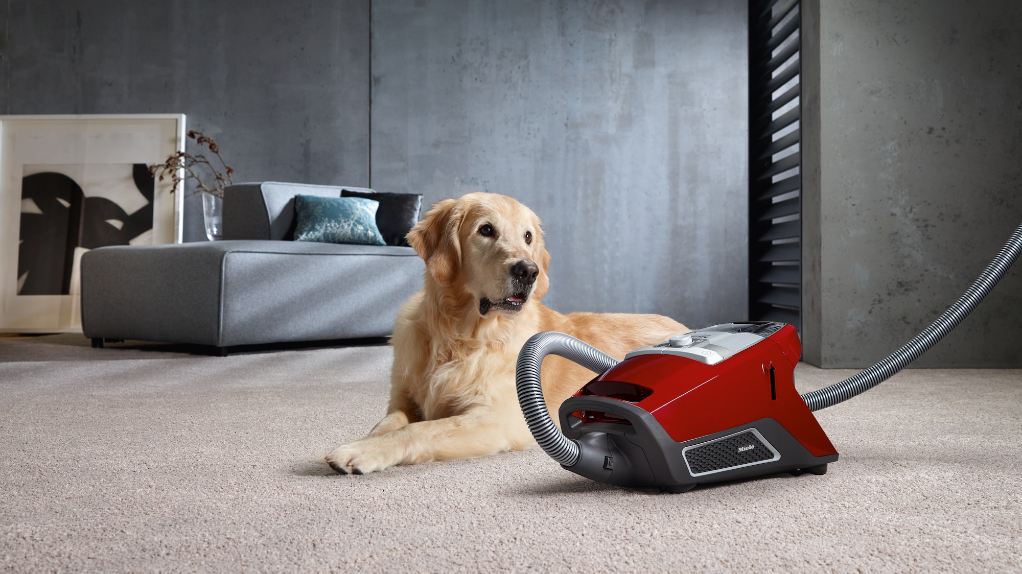 Bagless Canister Vacuum