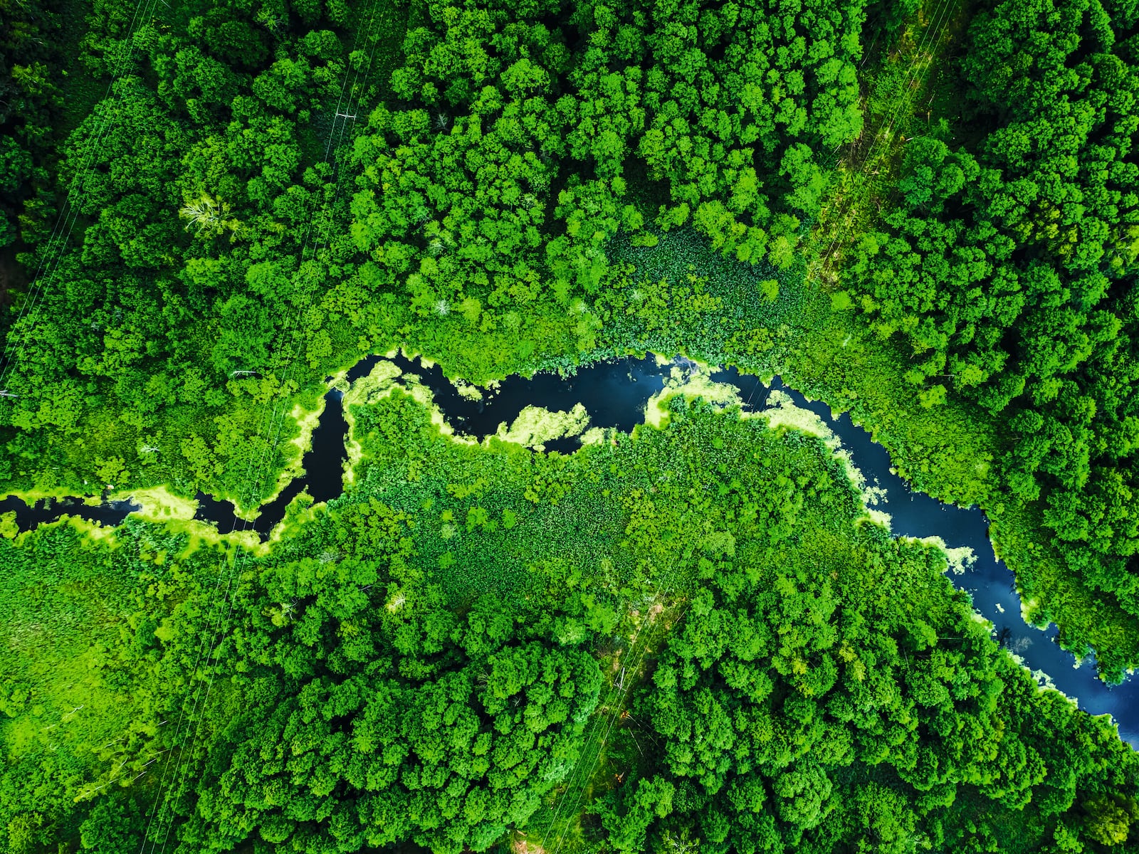 Miele detergents – efficient and eco-friendly