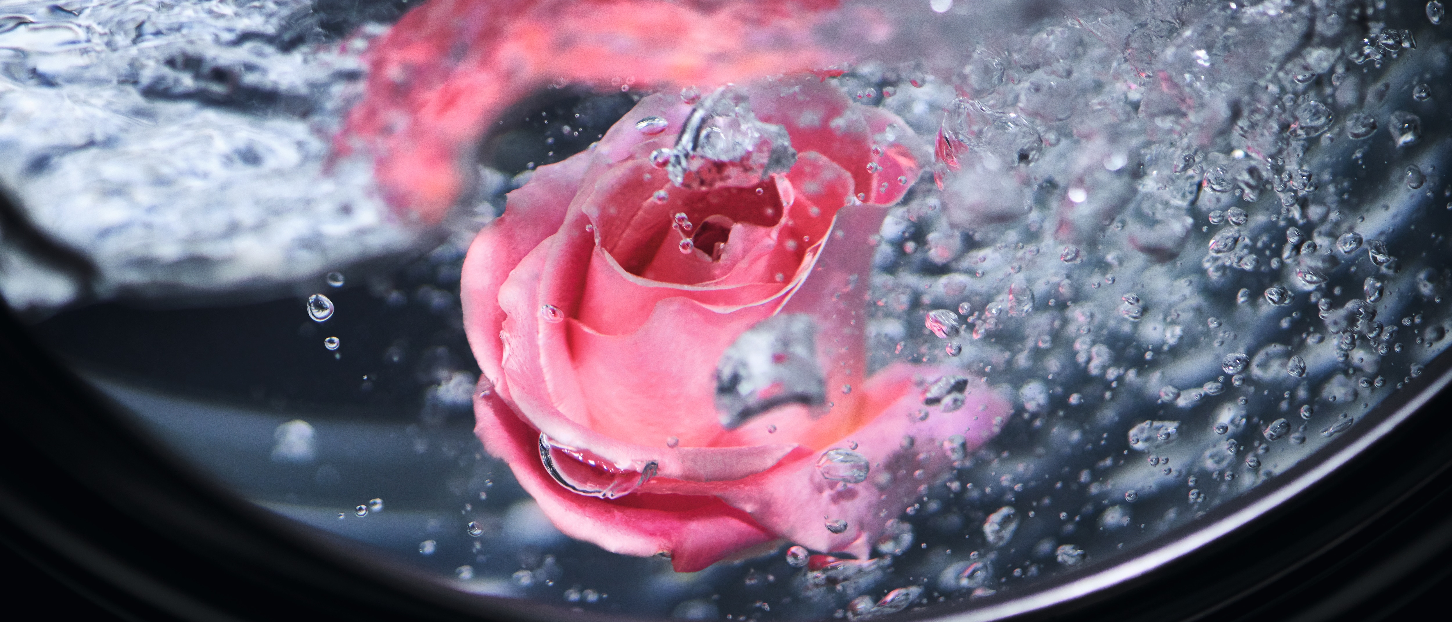 A flower floating in water within a Miele washing machine