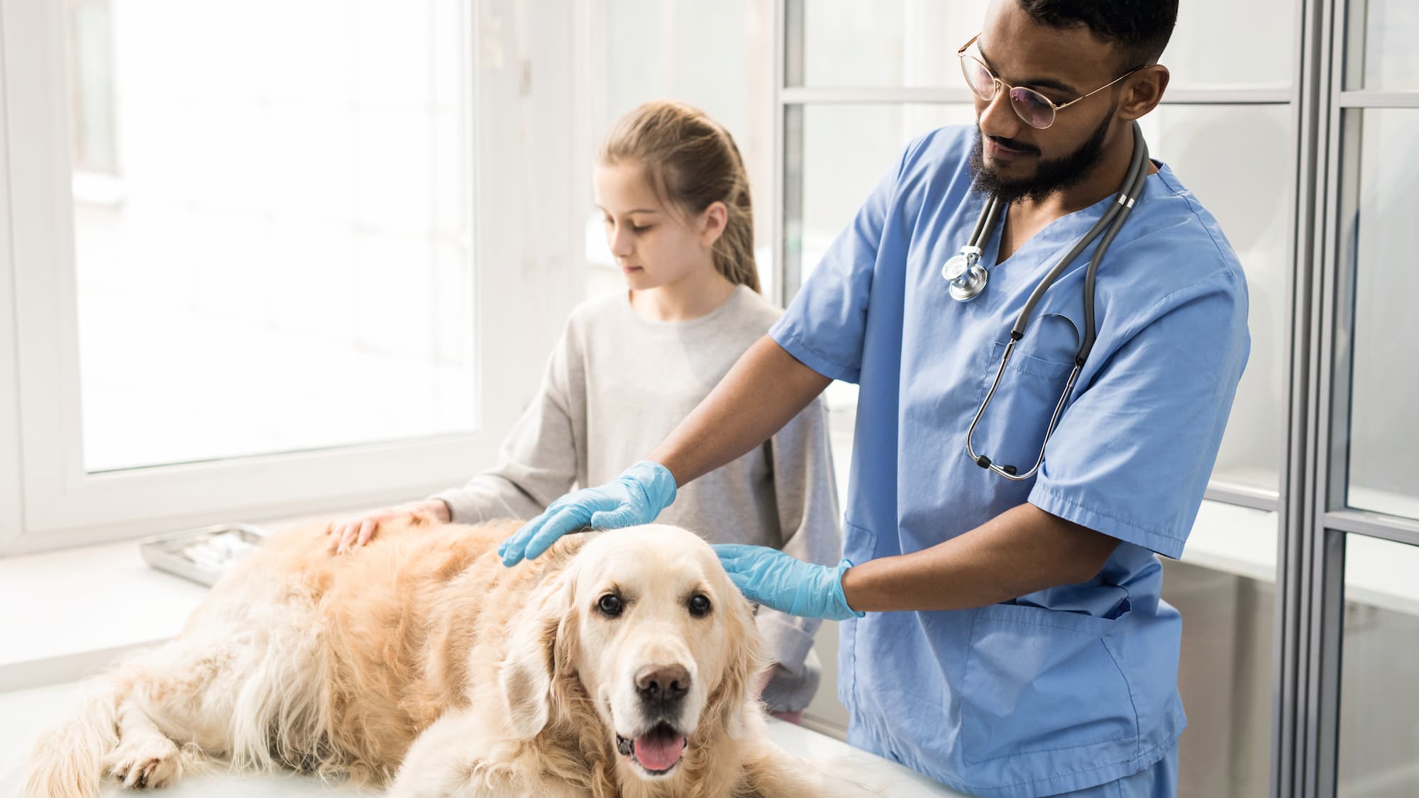 Miele Professional Reference - The Ralph