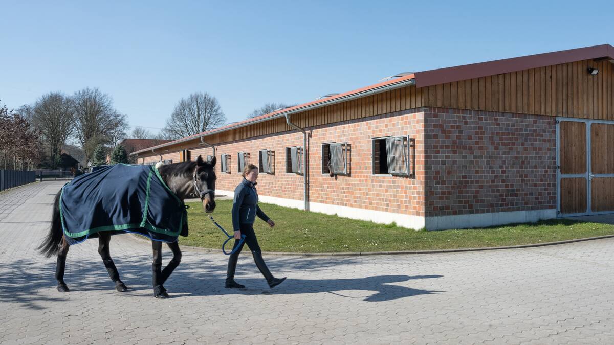  Helene Langehanenberg leads her horse. The indoor riding arena can be seen in the background.
