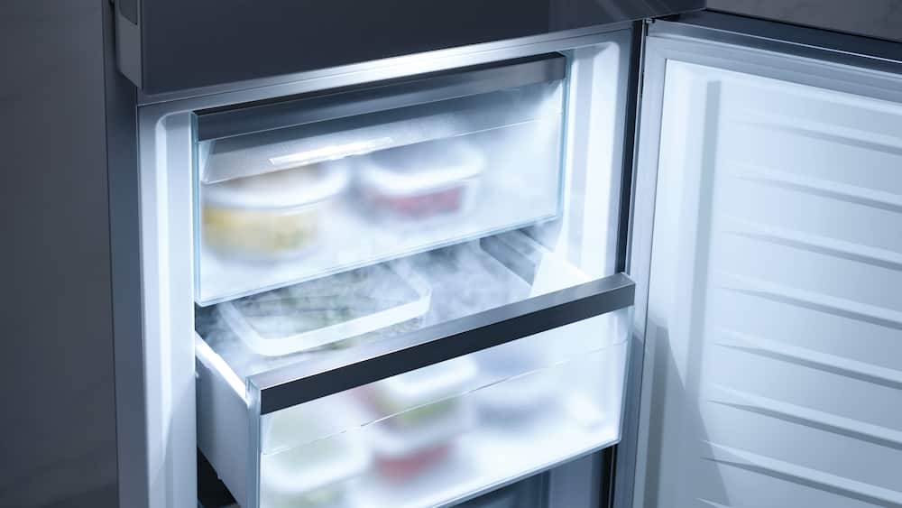 Fridge Freezer Features Freestanding Miele
