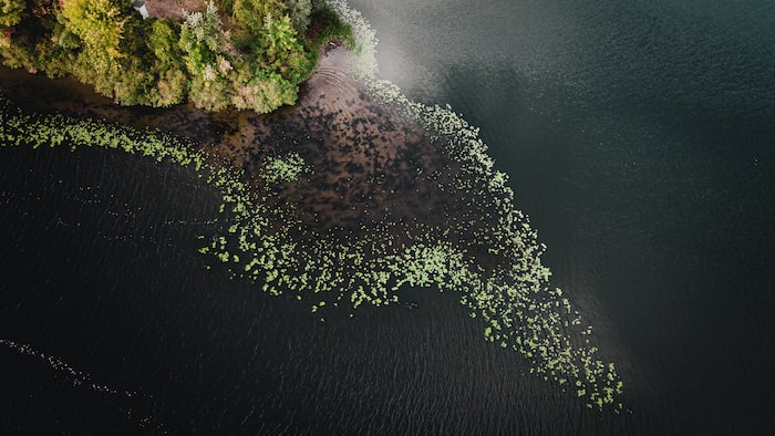 An island seen from above with water, shore and trees.