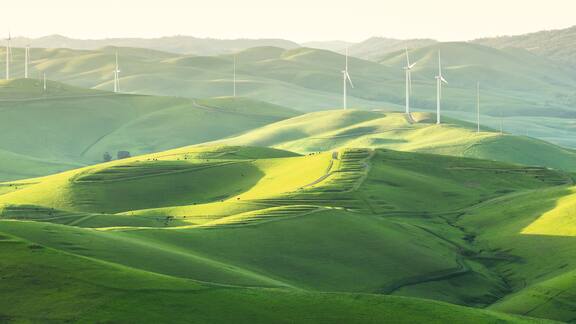Grüne Wiesenlandschaft mit weißen Windmühlen im Morgenlicht