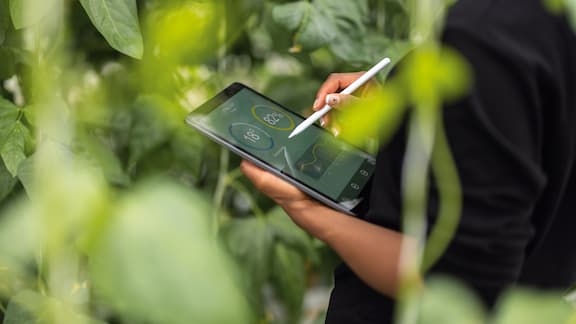 En tablet betjenes med en pen, planter kan ses i baggrunden