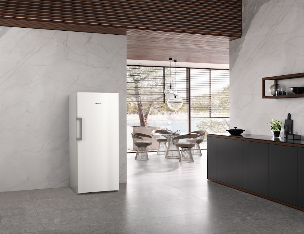 Apparecchi del freddo - FN 4748 C Bianco - 6