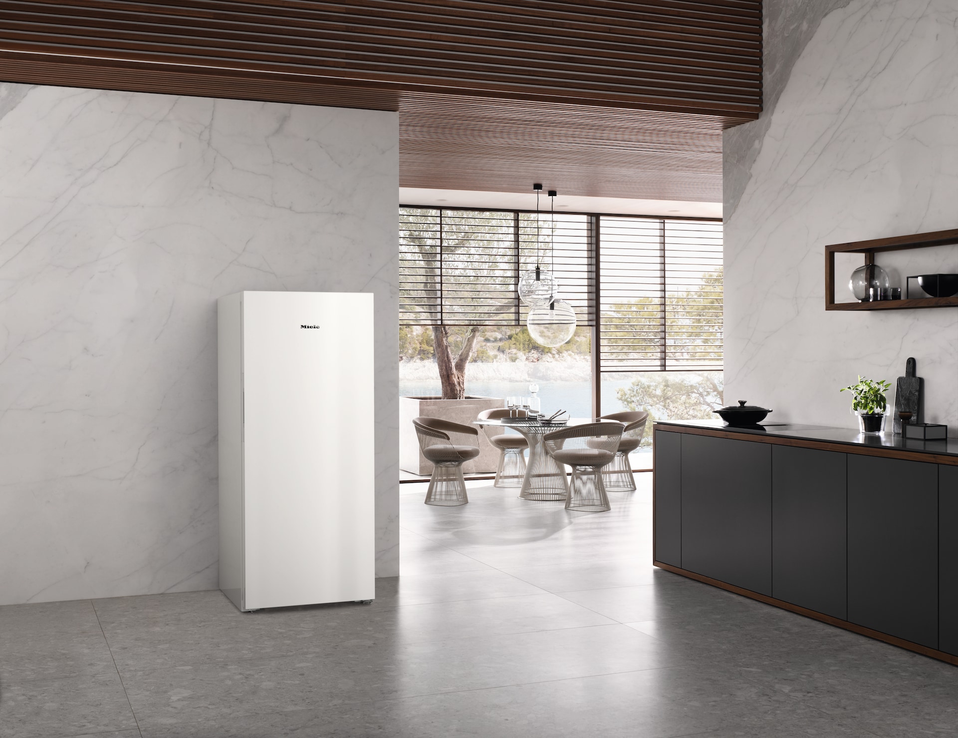 Réfrigérateurs/congélateurs - FN 4849 C Blanc - 6