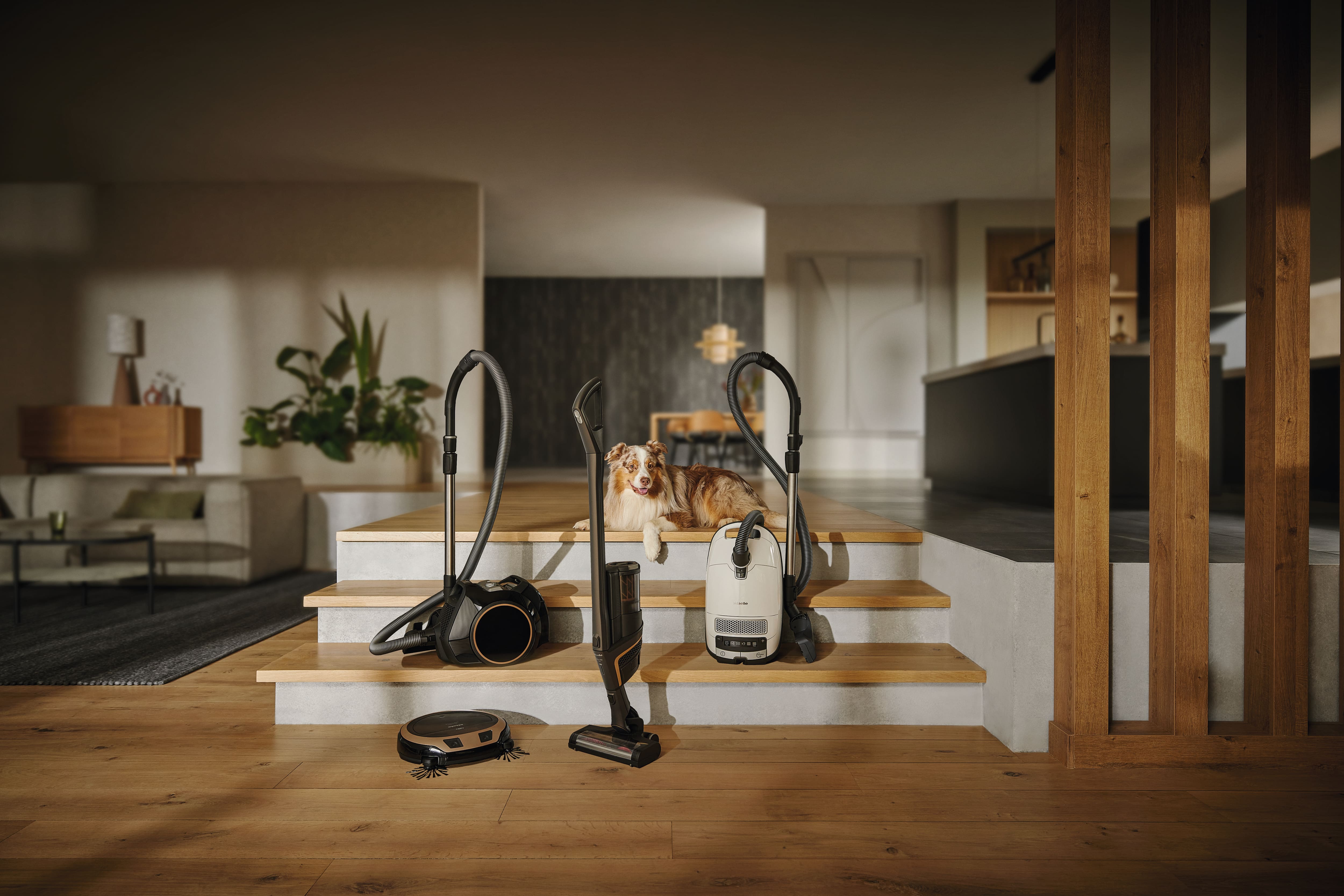 Miele Floorcare Offers