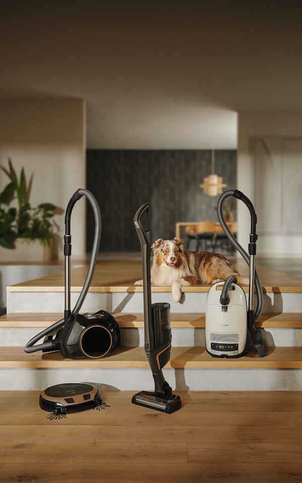 A selection of Miele Vacuum Cleaners on display