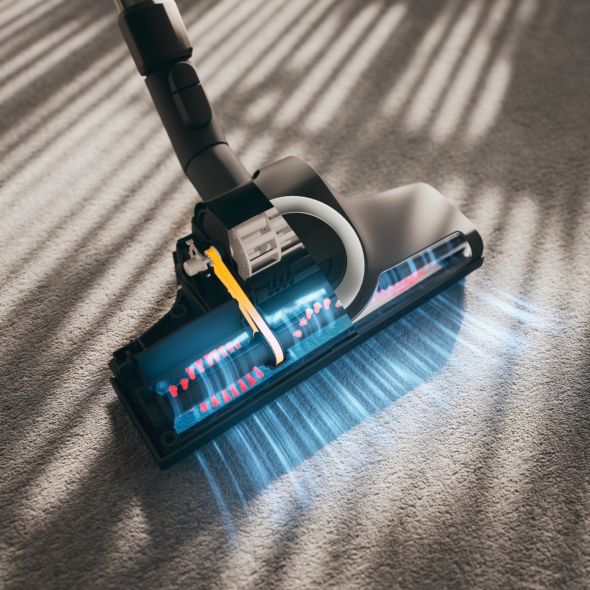 Vacuum cleaners - Blizzard CX1 Cat & Dog Flex Graphite grey - 5