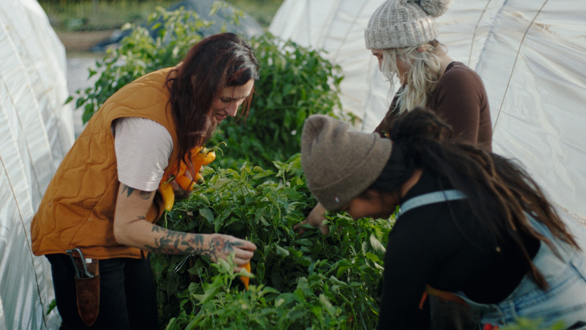 Katina Picking Herbs