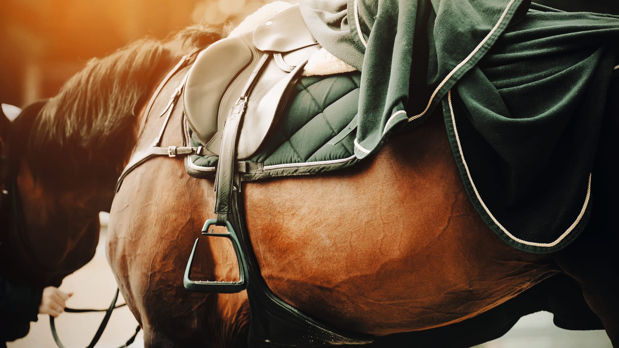 FIBBIE PER CINGHIE INCROCIATE Coperte 2 Seta Da 3 Pezzi - Foto 10