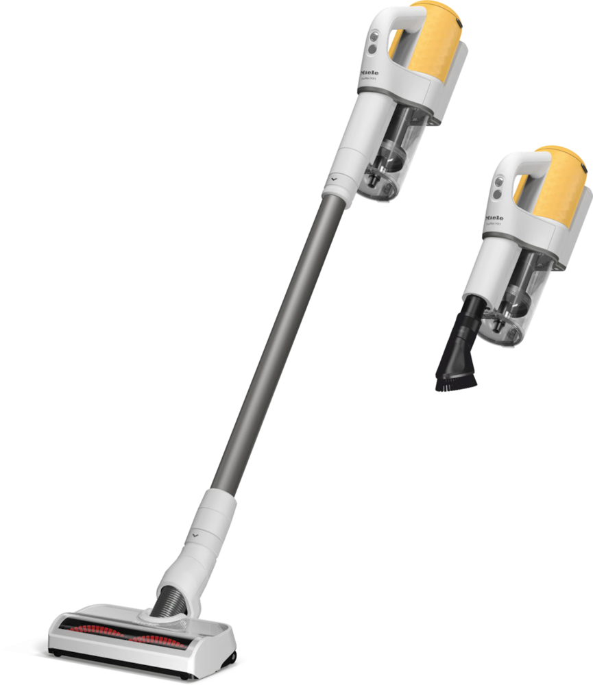 Vacuum cleaners - Duoflex HX1 Sunset žuta - 1