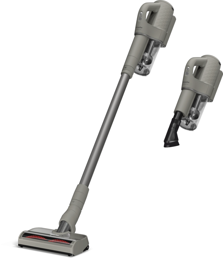 Vacuum cleaners - Duoflex HX1 CarCare Casagrey siva - 1