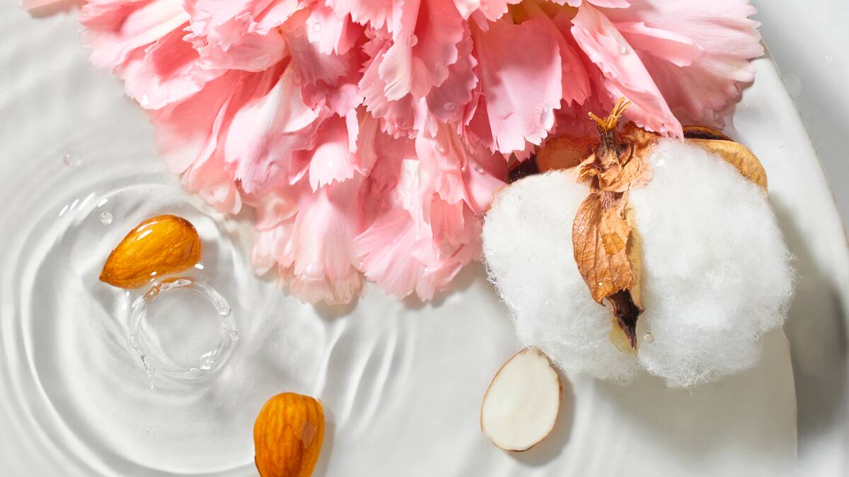 Cotton, flowers and almonds lie in the water