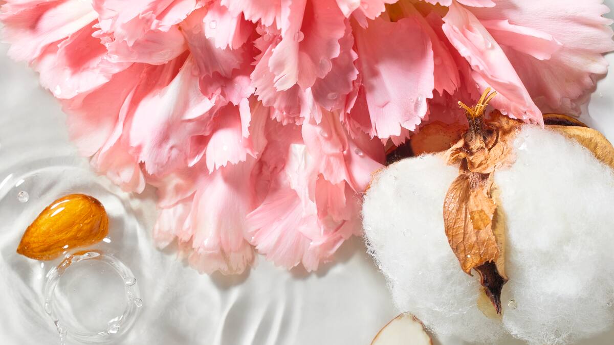 Baumwolle, Blumen und Mandeln liegen im Wasser