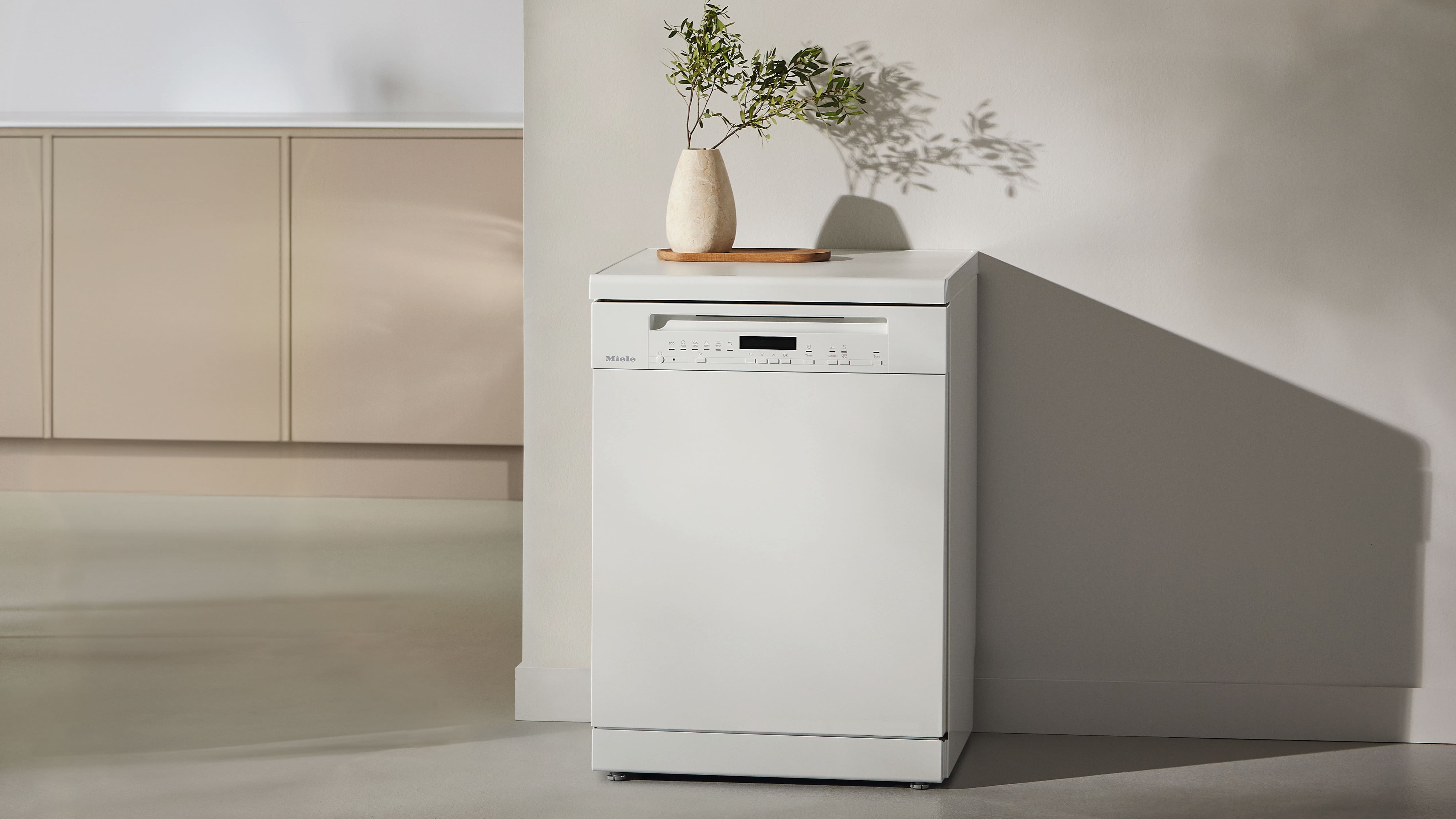 Freestanding dishwasher