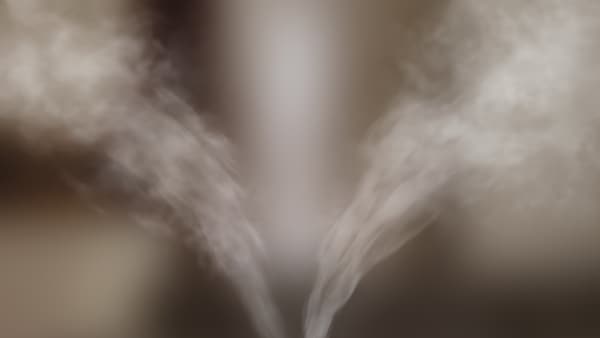 extraction