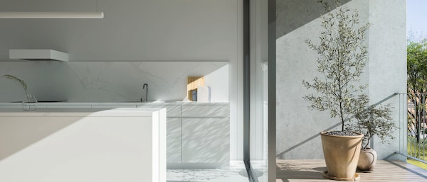 Minimalist kitchen of neutral colors plus a plant