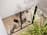 In-situ shot, Factual image