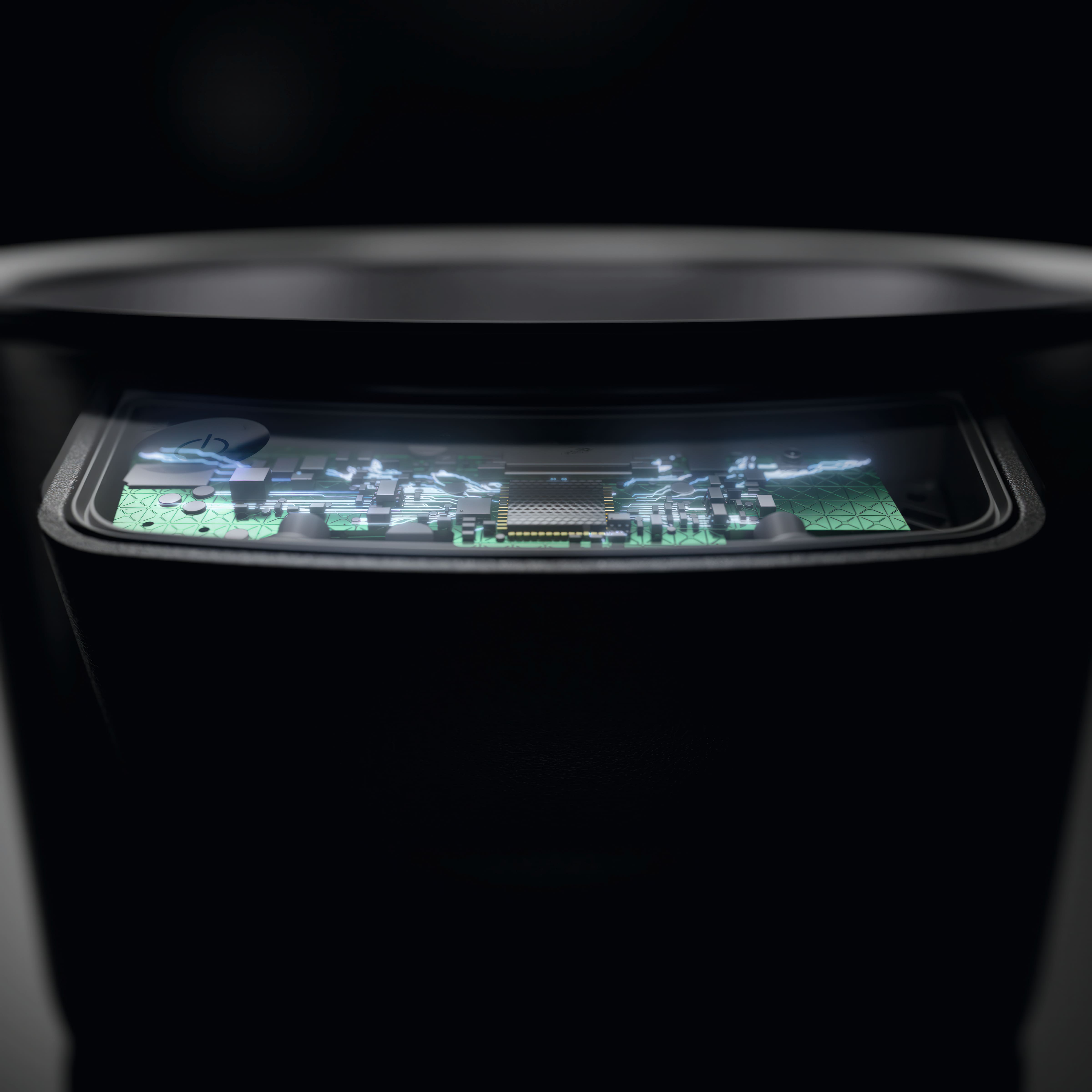 Miele pot showing the chip it has